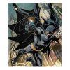 DC Comics Batman Silk Touch Throw Blanket, 50" x 60", Swiging In