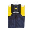 Michigan Psychedelic Beach Towel